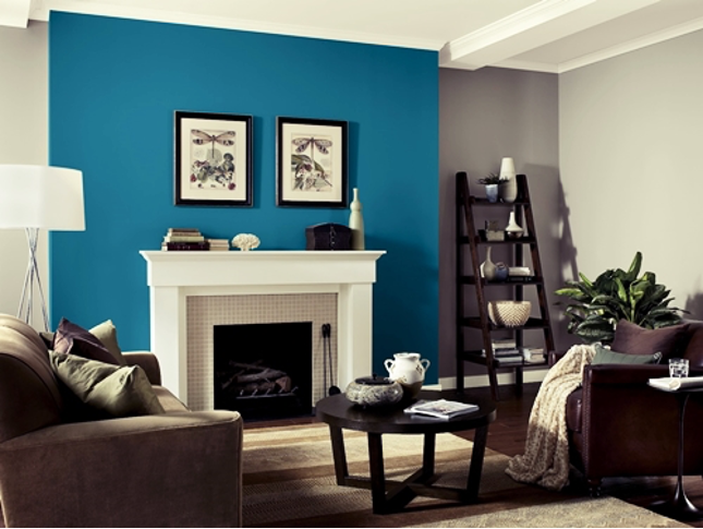 How to Choose an Accent Wall and Color Options The Artisen