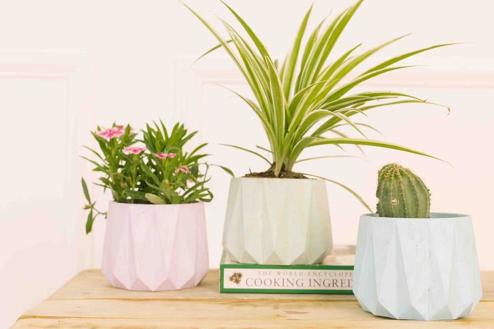Outdoor Essentials