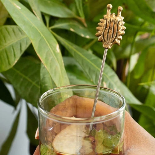 Aphim Pod Stirrer Set 1x1x7.5 Inches