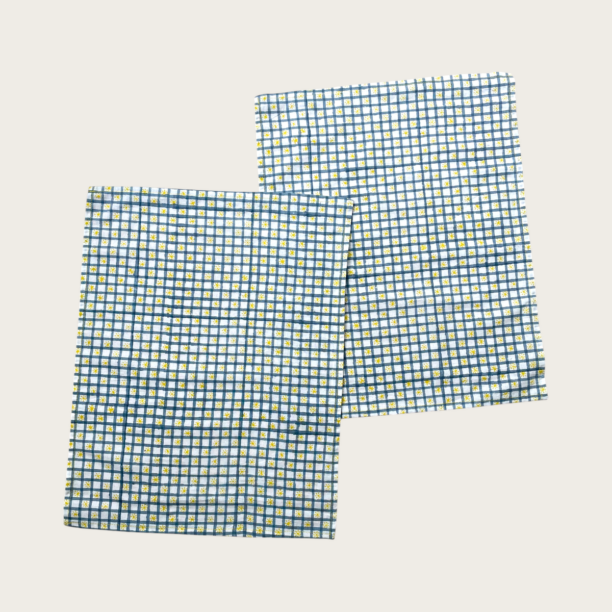 Check and Shine hand block printed cotton placemats set of 2