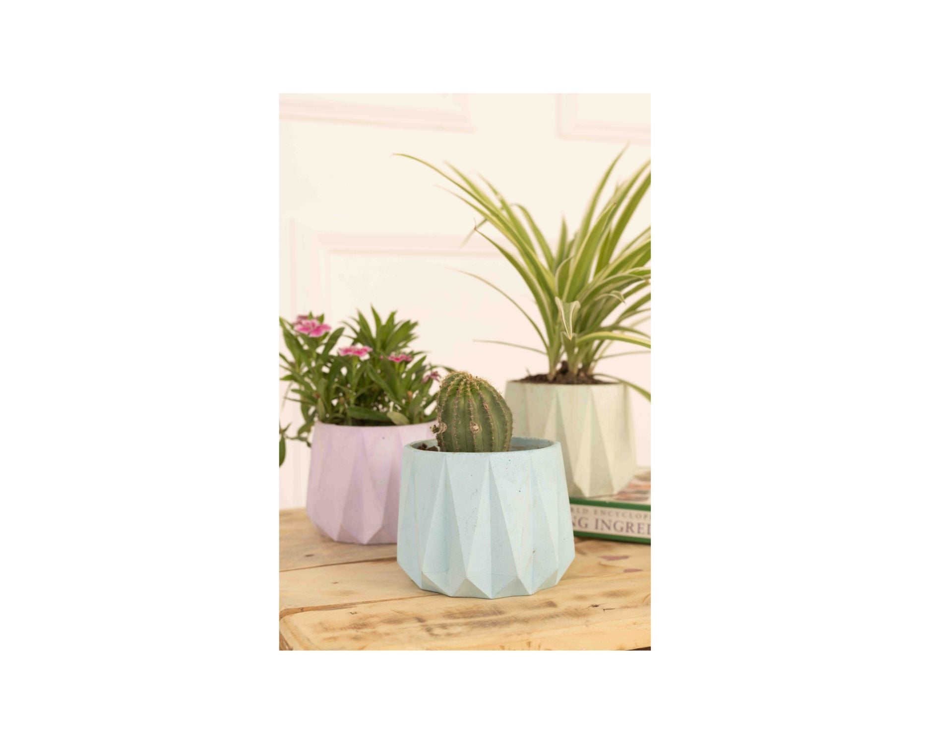 Concrete Small Succulent Planter- Blue, 3.5x4 Inch