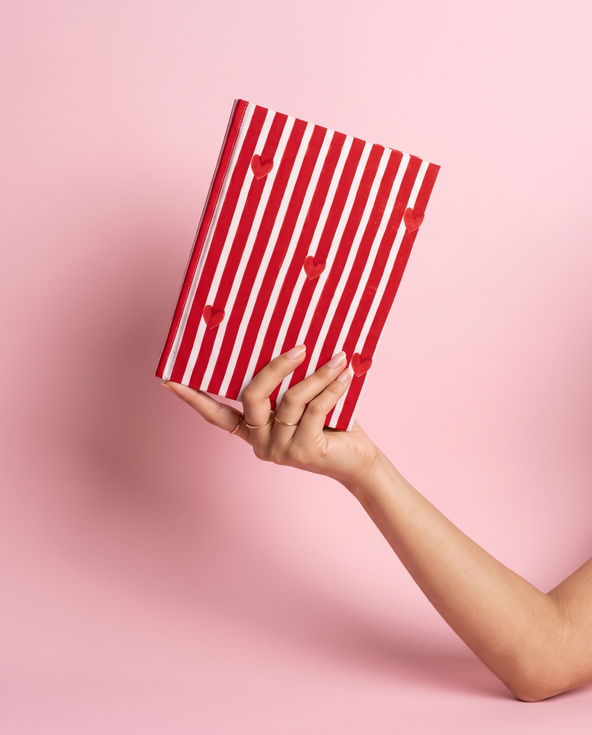 Red Stripe Sustainable Diary Journal Notebook| A5 Unruled | Set Of 2