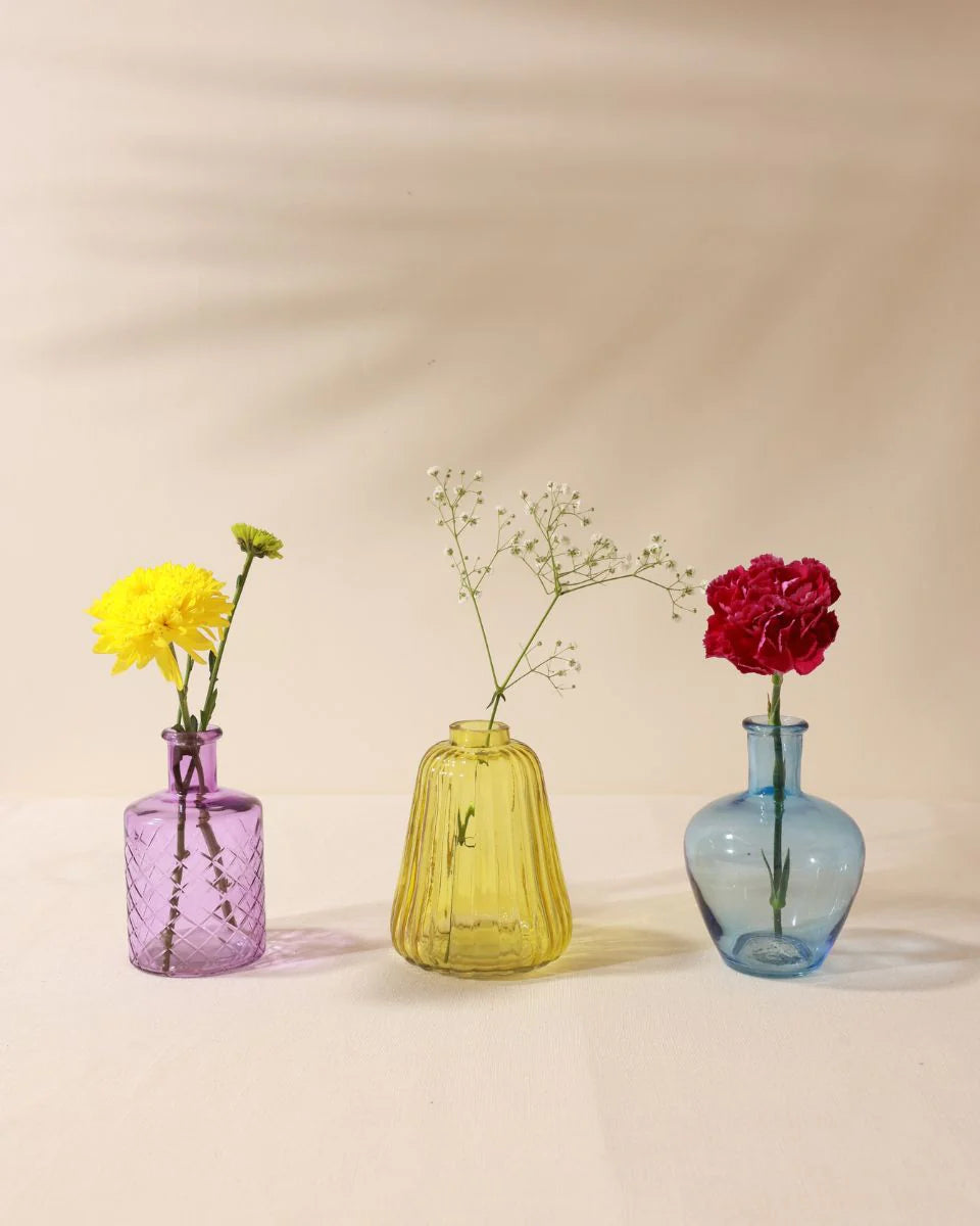 Bud Beauties - Set of 3 Glass Bud Vases