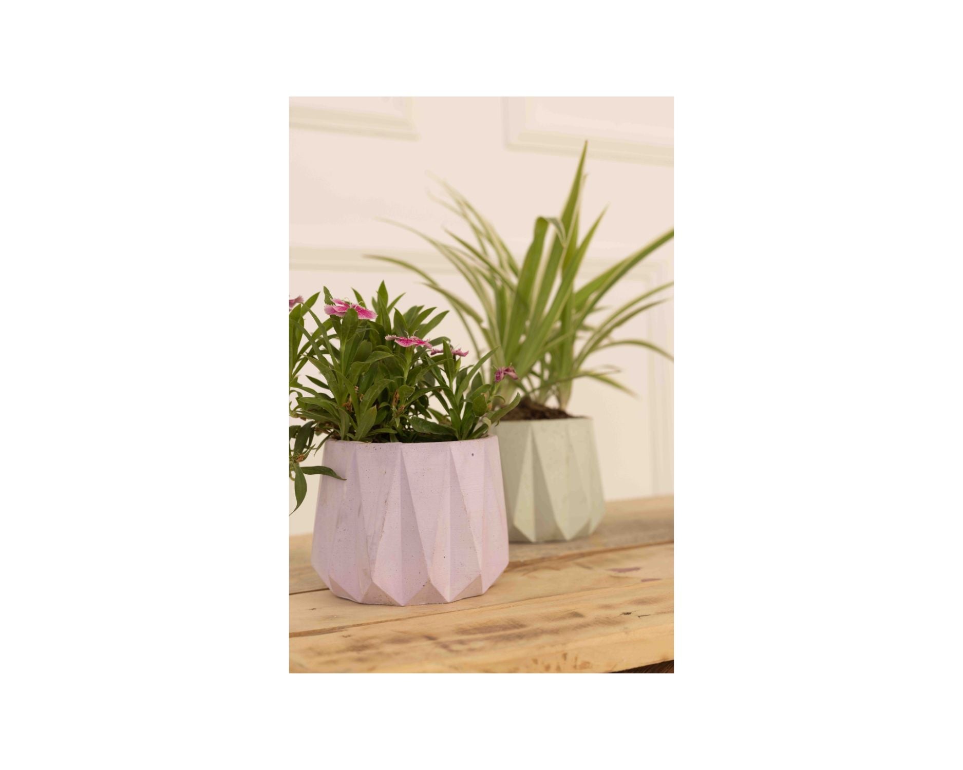 Concrete Small Succulent Planter- Purple Pink, 3.5x4 Inch