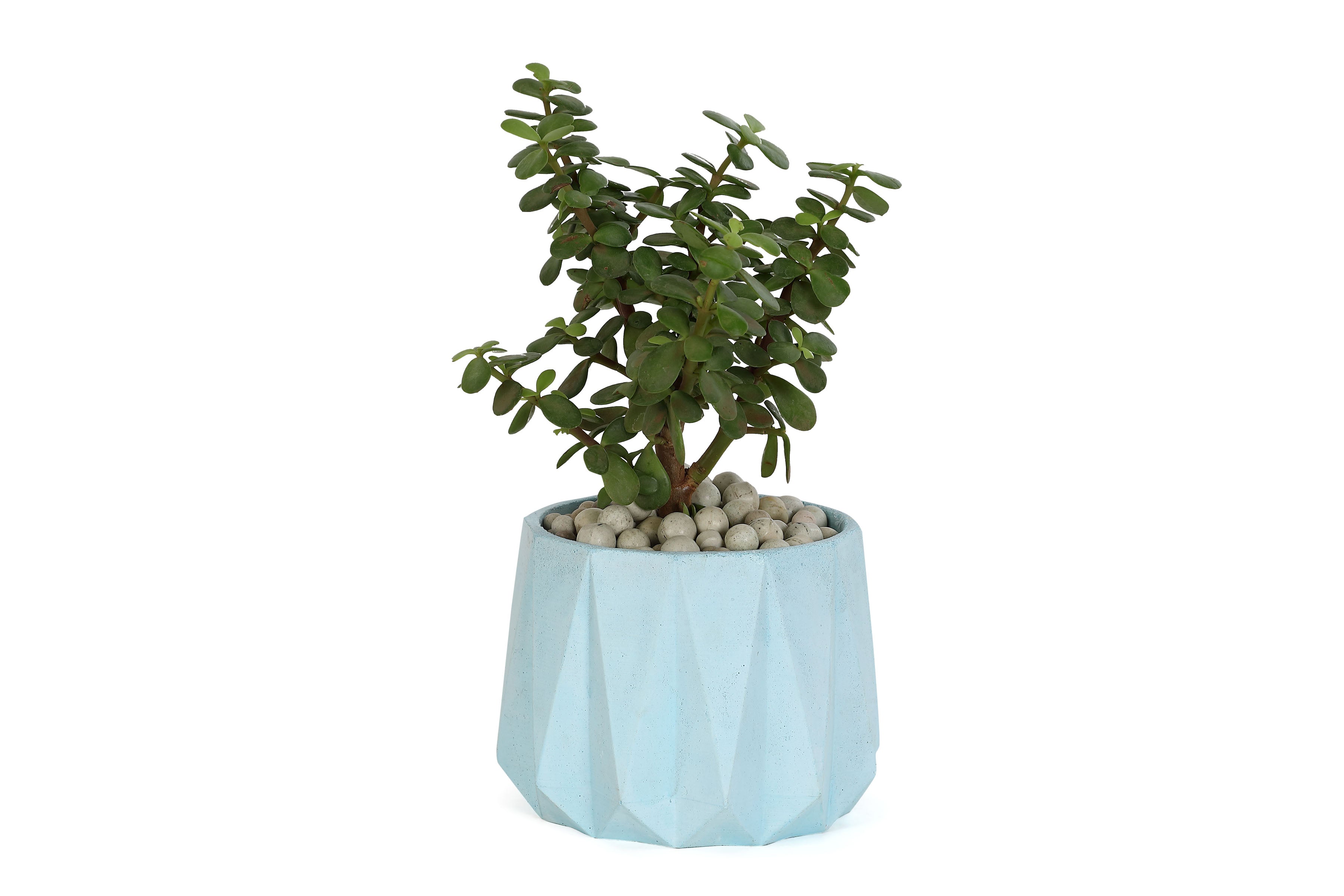 Concrete Small Succulent Planter- Blue, 3.5x4 Inch